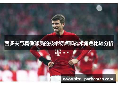 西多夫与其他球员的技术特点和战术角色比较分析